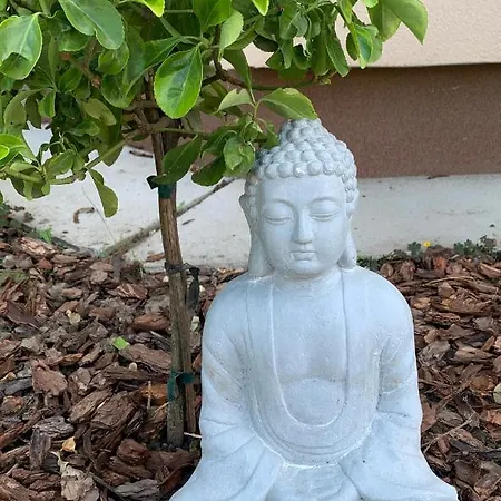 Szekely Apartmanhaz * Siófok