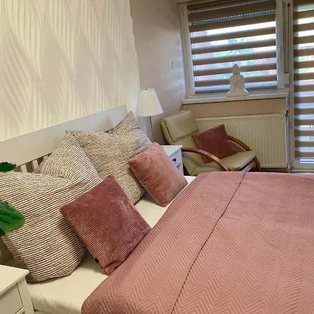 Szekely Apartmanhaz דירה