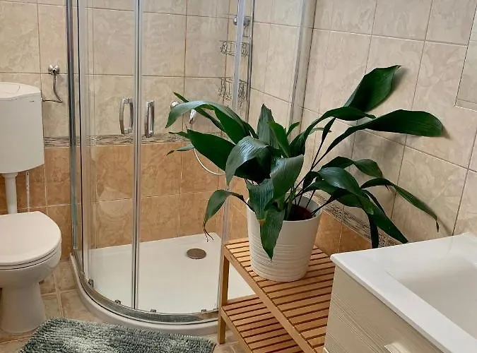 Szekely Apartmanhaz アパート *