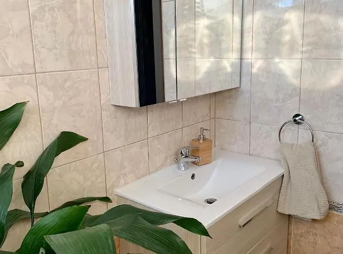 アパート Szekely Apartmanhaz シオーフォク