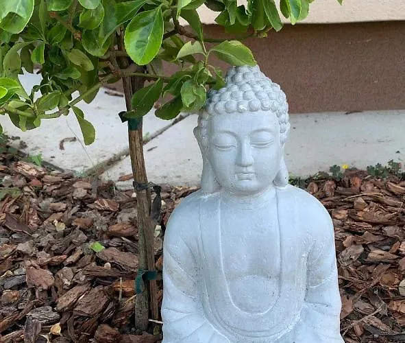 Szekely Apartmanhaz * シオーフォク