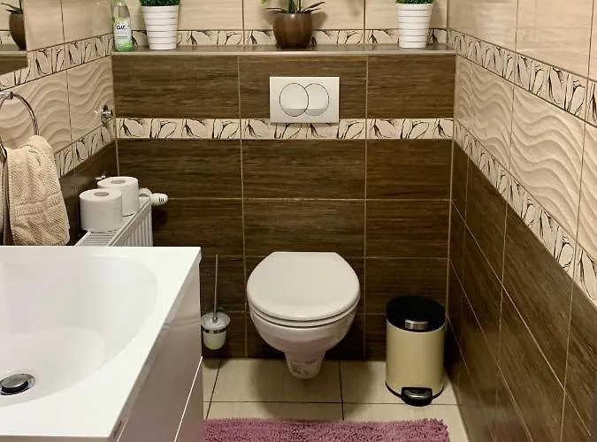 アパート Szekely Apartmanhaz *