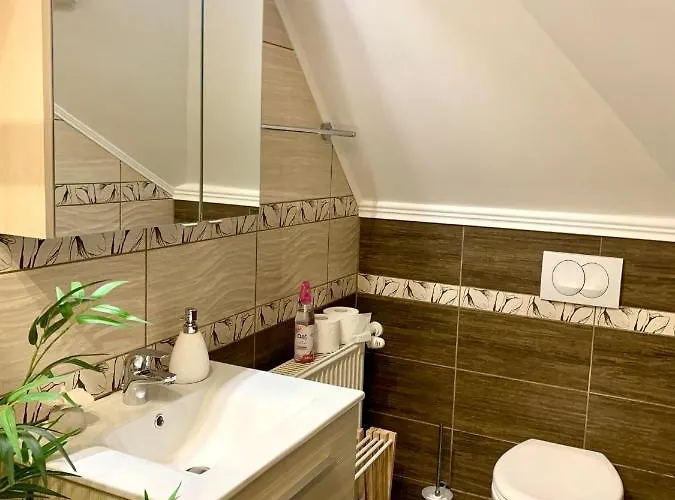 アパート Szekely Apartmanhaz シオーフォク