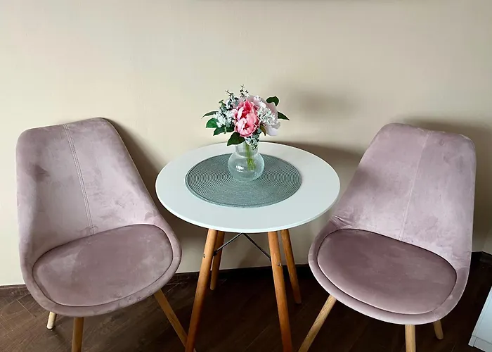 Szekely Apartmanhaz アパート *