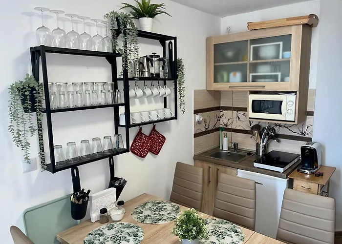 アパート Szekely Apartmanhaz