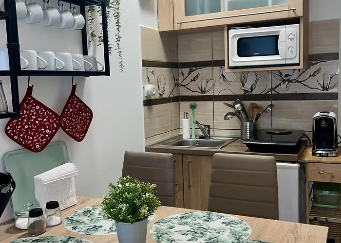 Szekely Apartmanhaz シオーフォク